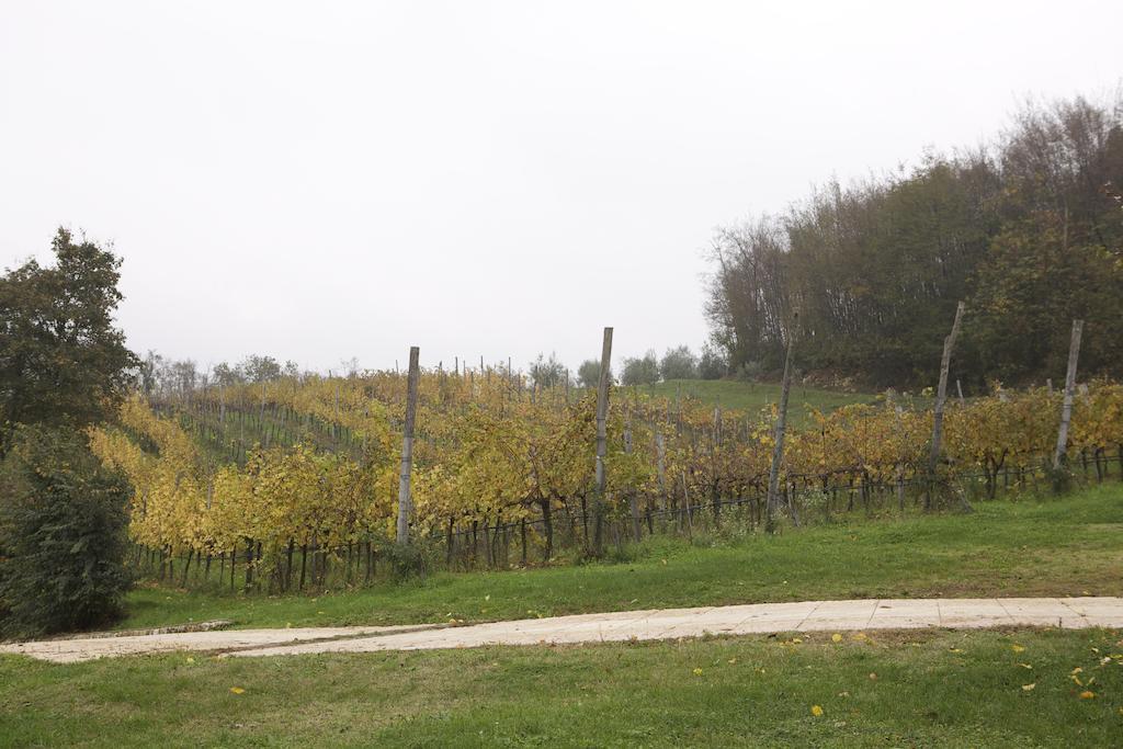 Agriturismo Marani Arcugnano Exterior foto